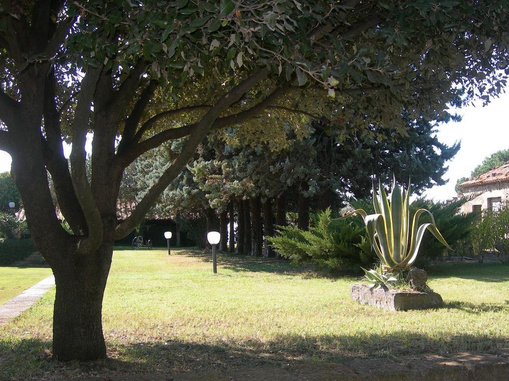 Tenuta Di Pontesodo Монтальто-ді-Кастро Екстер'єр фото
